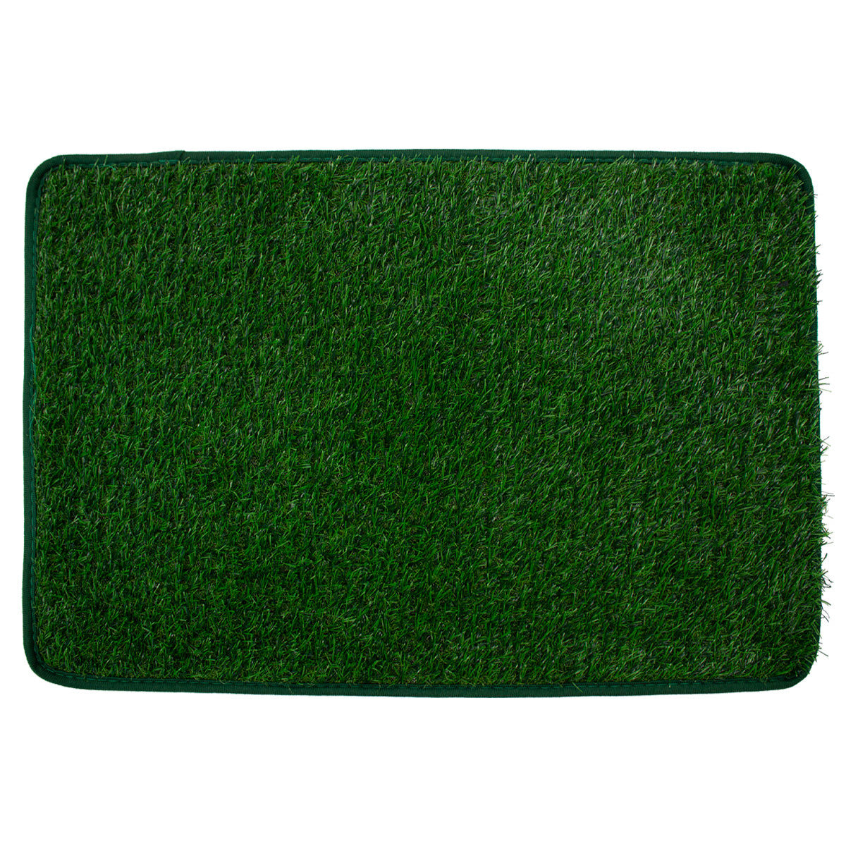 Tapete De  Pasto sintético Bluegrass Mat 40x60 cm