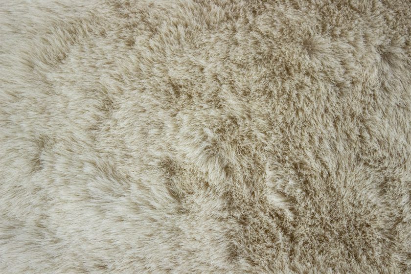 Cream zoom